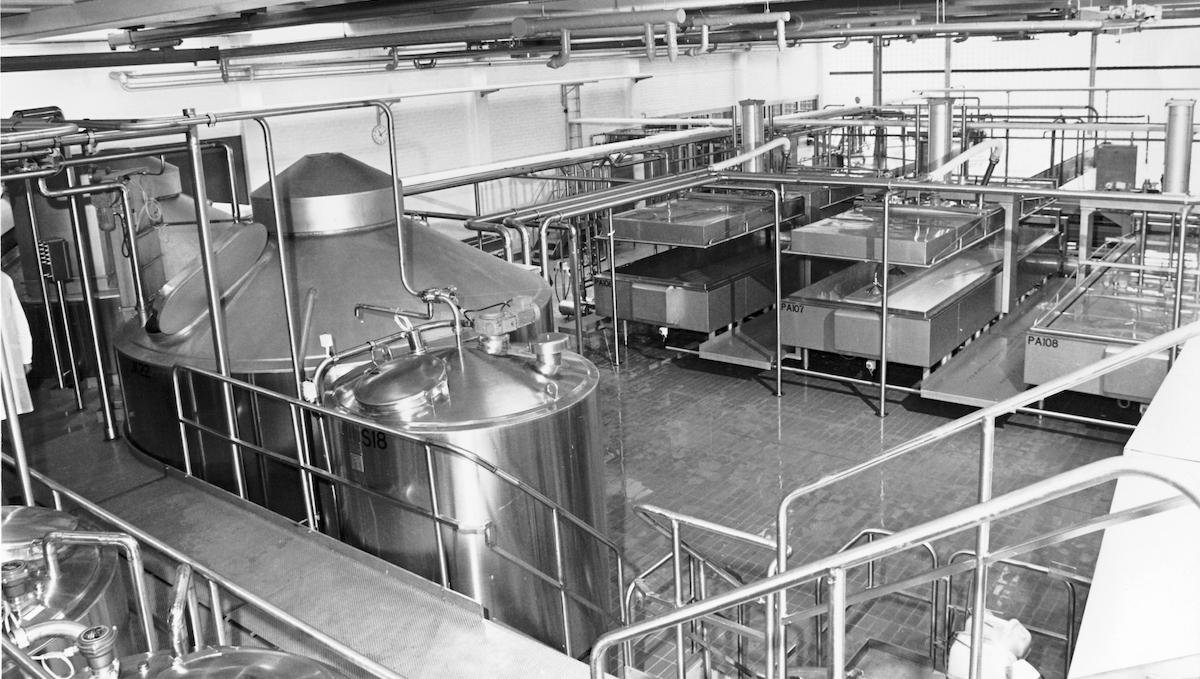Stainless steel tanks and piping in a modern cottage cheese processing facility, part of a cottage cheese production line and plant equipment